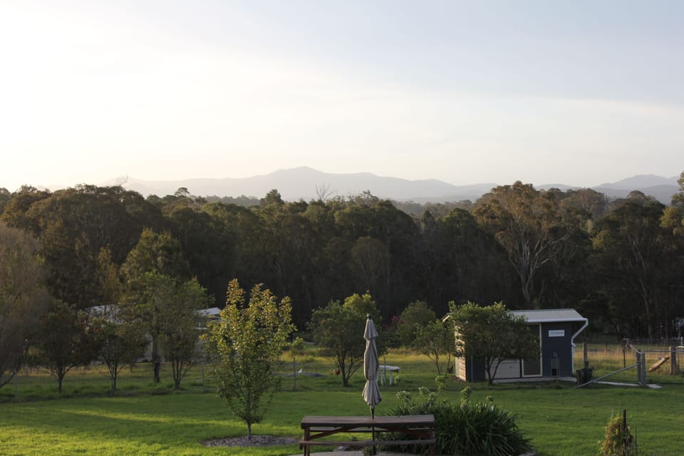 Comfort Apartment, 1 Queen Bed with Sofa bed, Mountain View, Ground Floor | Mountain view