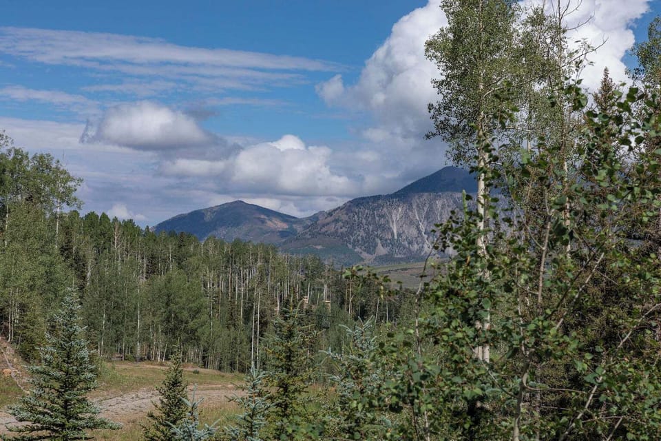 View from the kitchen deck. Hiking and skiing can begin out the door on the Sundance ski run!