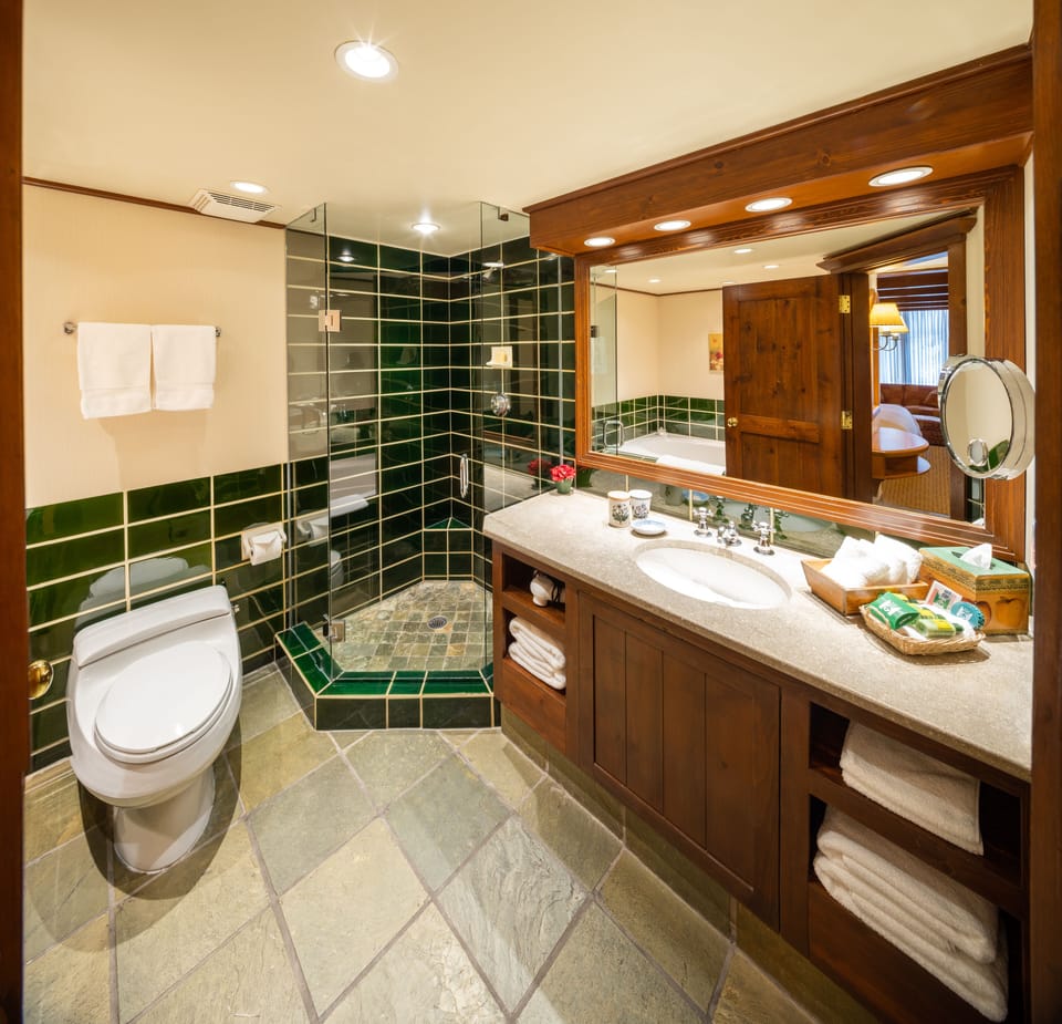 Premier Room 1 King | Bathroom | Bathtub, hair dryer, bathrobes, towels