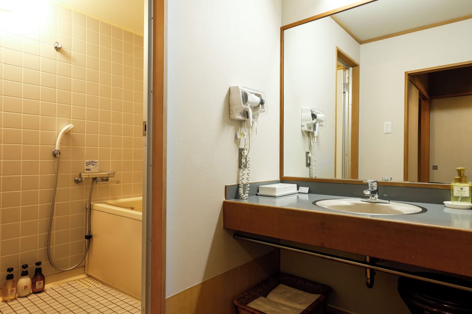 Combined shower/tub, hair dryer, bidet, towels