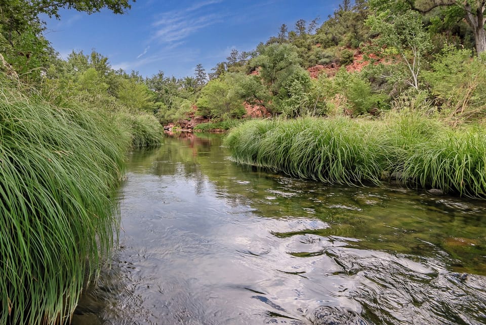 On Oak Creek