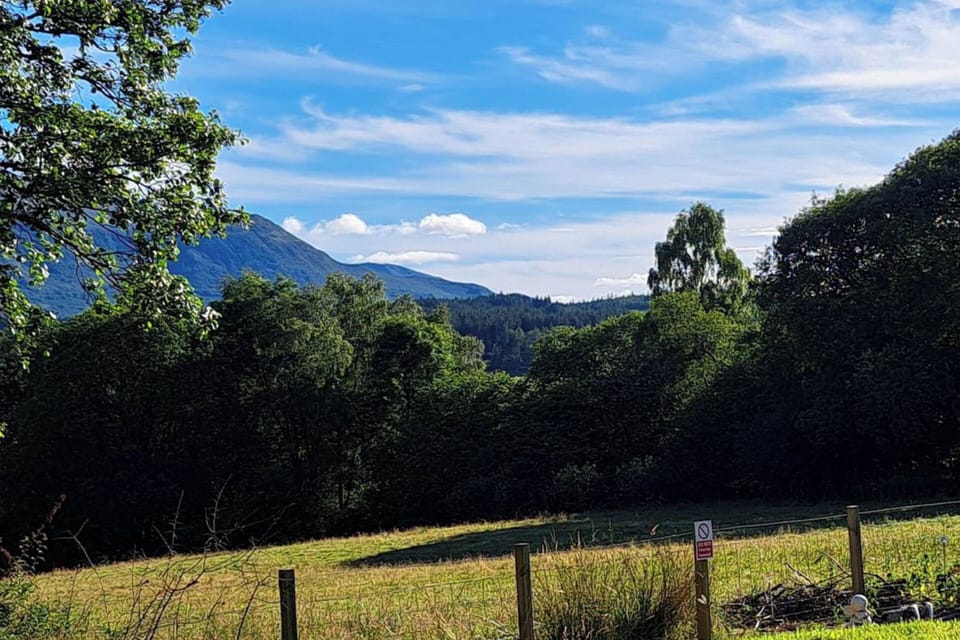 The view from the garden and out of the window 