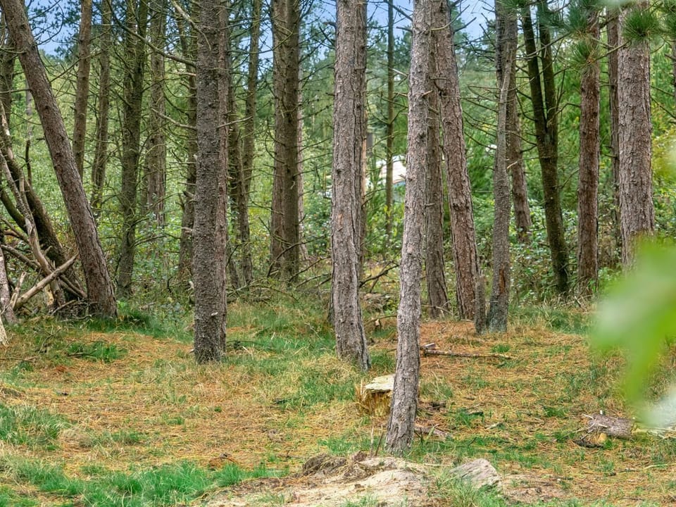 Place