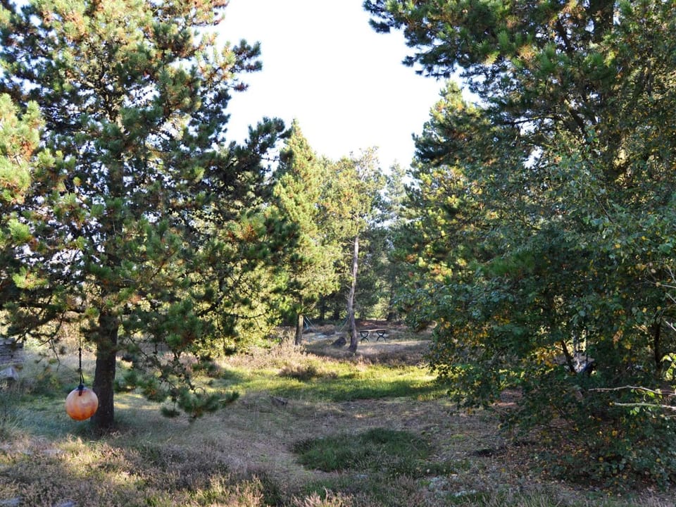Place