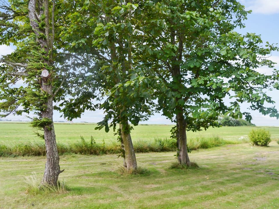 Place