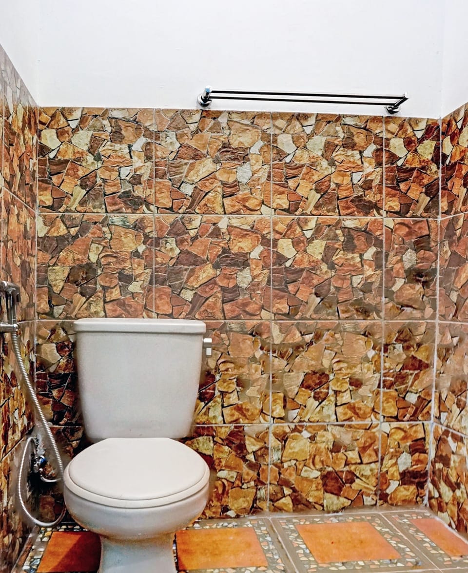Shower, towels, toilet paper