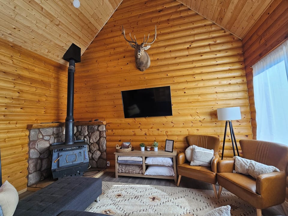Cabin | Living area | 70-inch flat-screen TV with digital channels, fireplace, DVD player