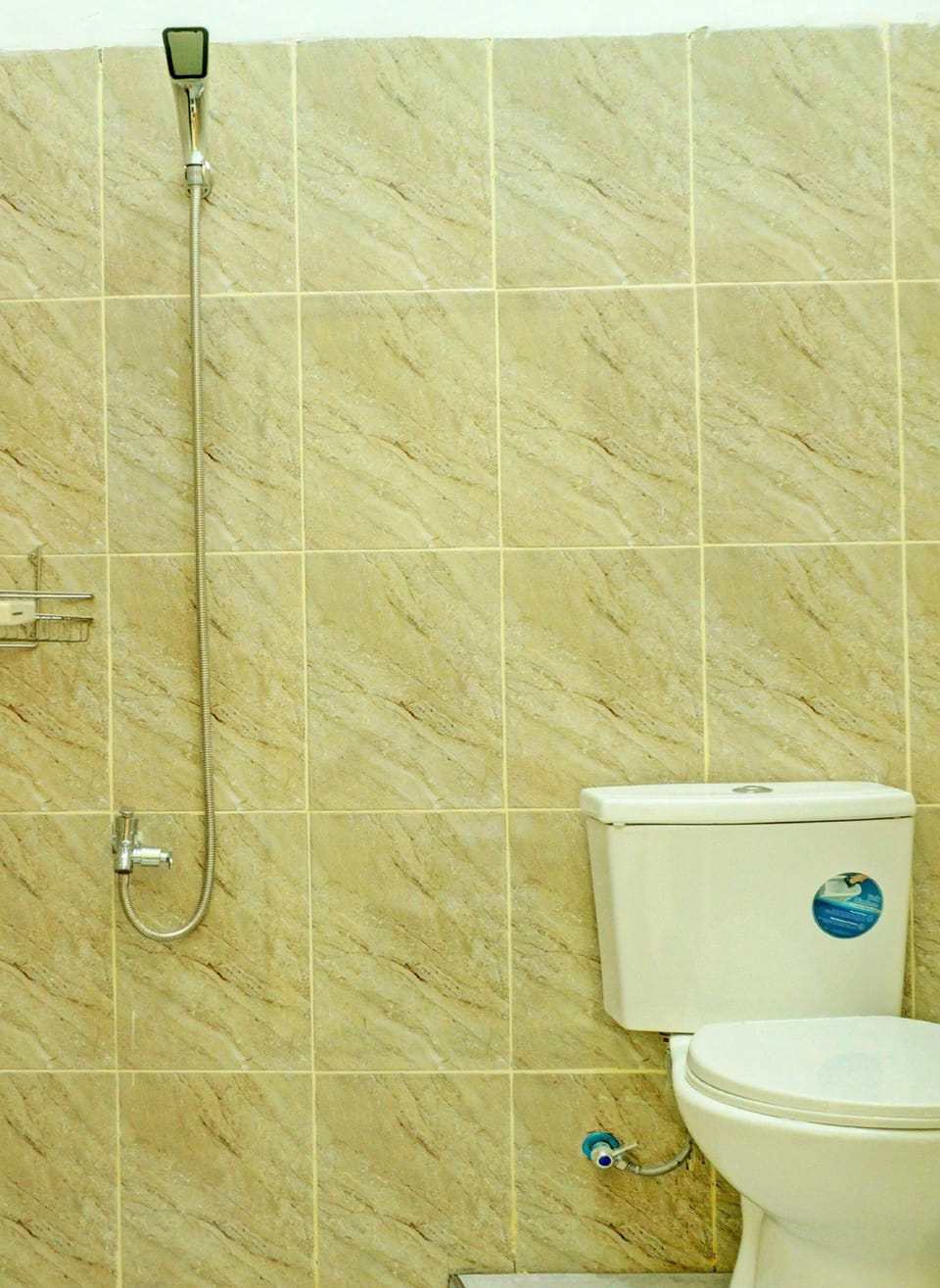 Shower, towels