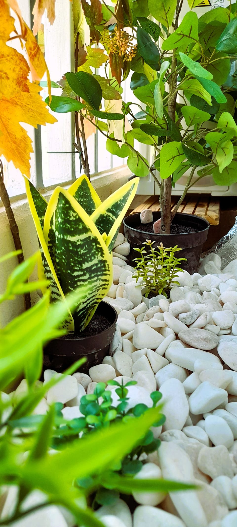 Interior detail