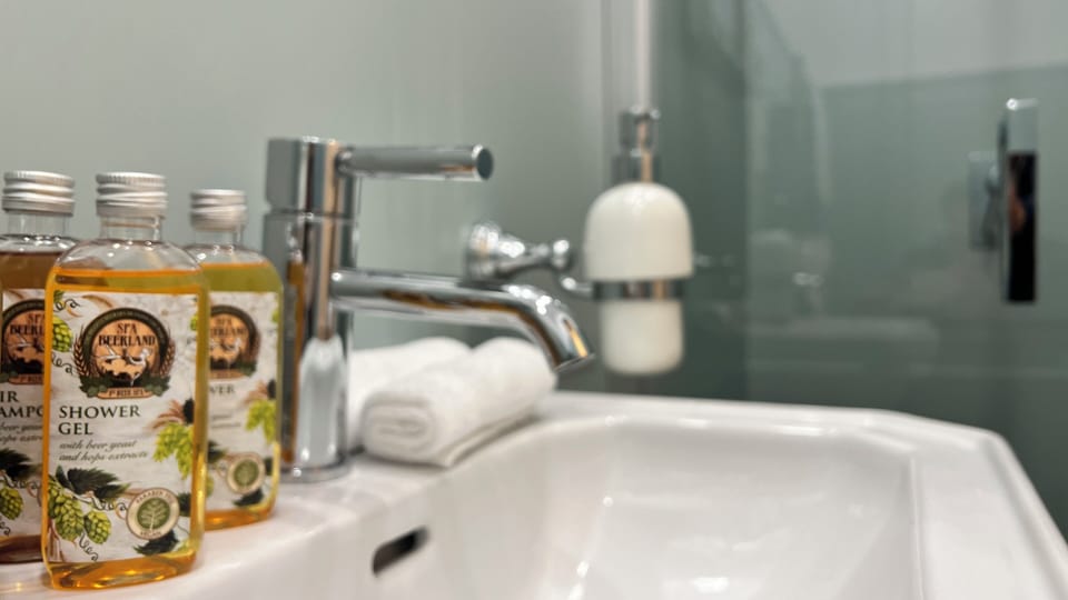 Comfort Room | Bathroom sink