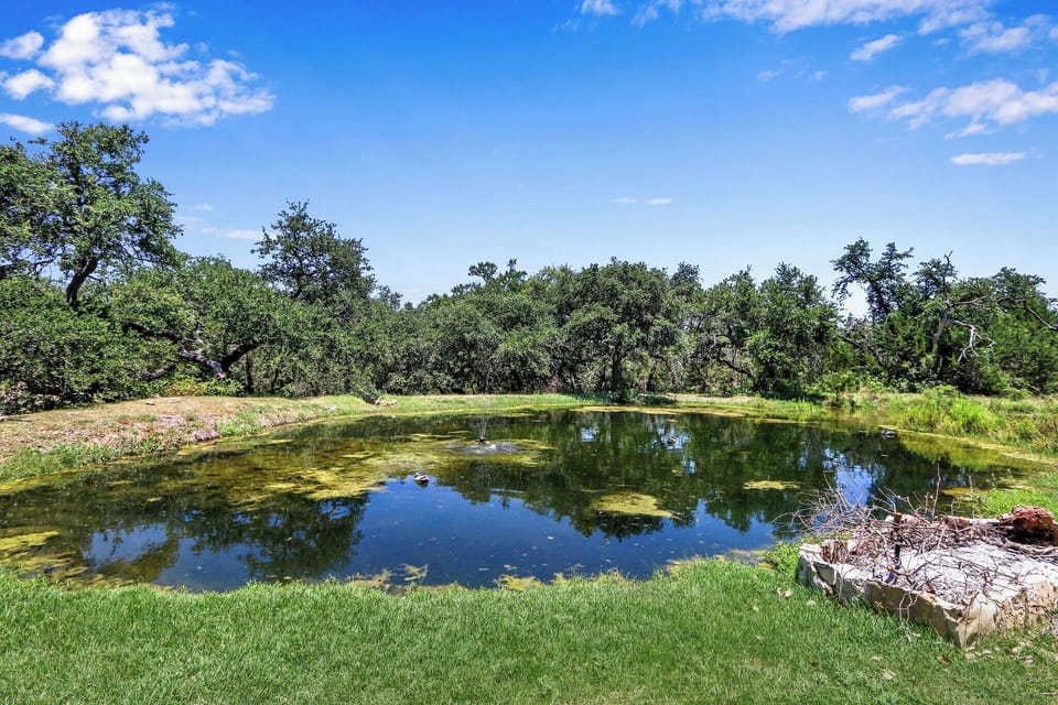 Closeup view of the communal fishing pond which is just a short walk from the casitas.