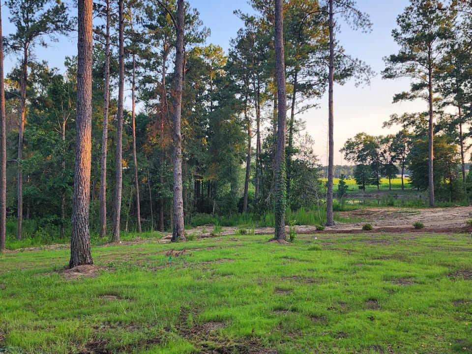 view from patio and front porch