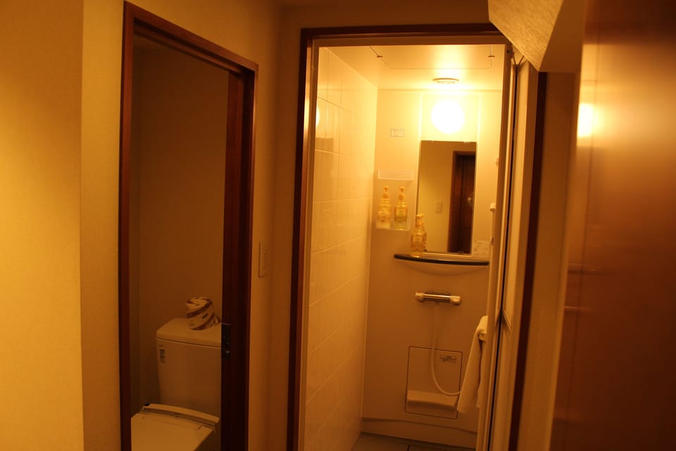 Free toiletries, hair dryer, slippers, bidet