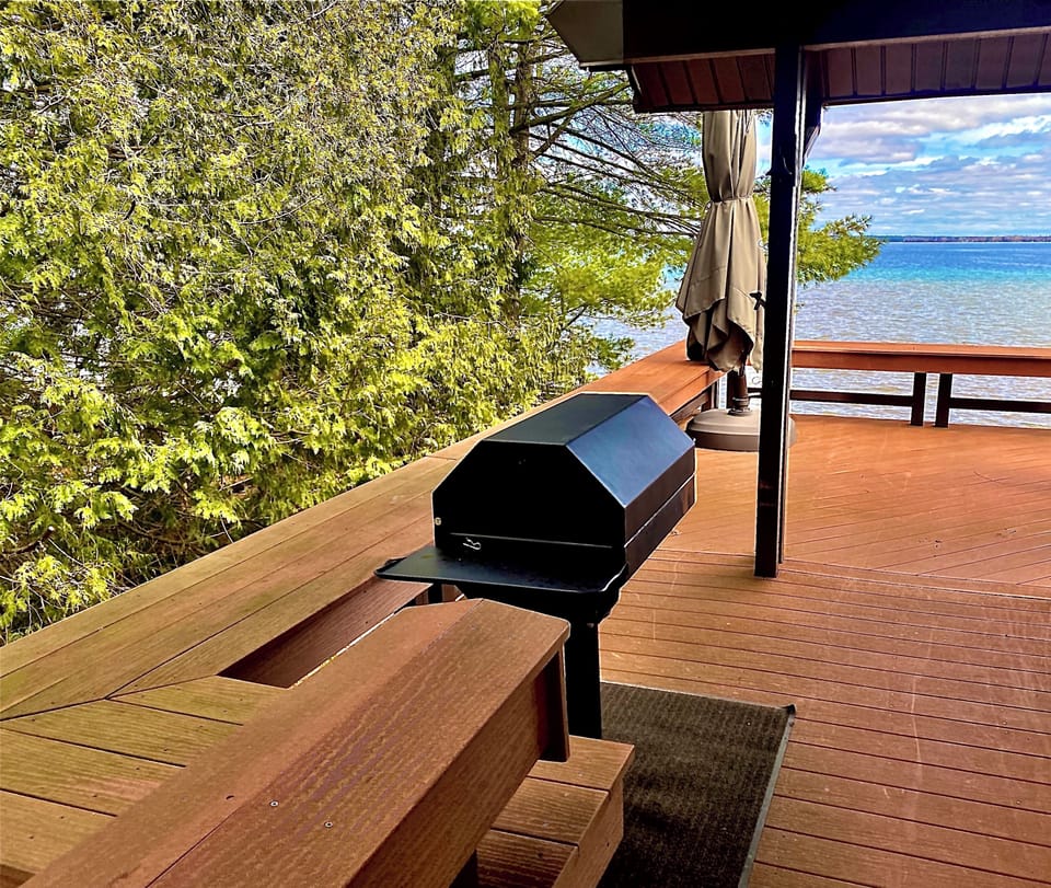 Grill out while looking at Higgins Lake (charcoal grill)