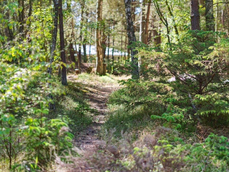 Place