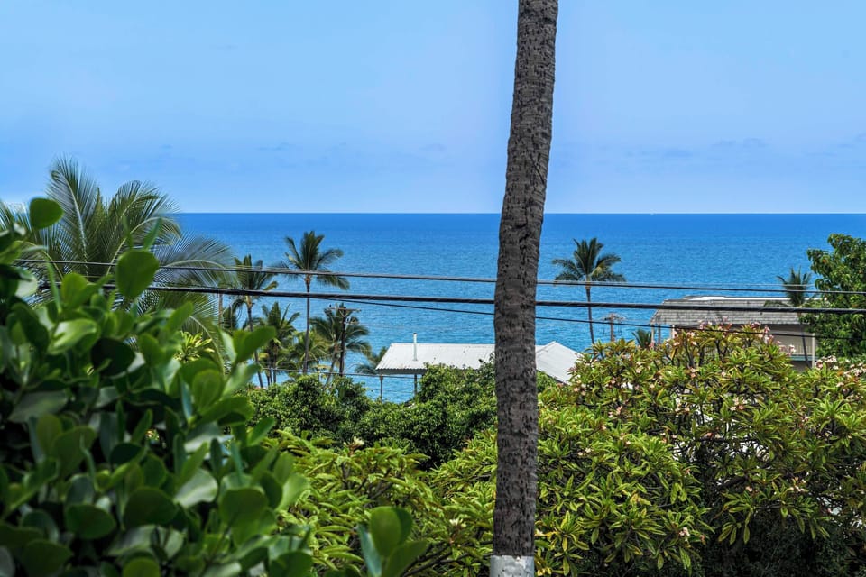 Ocean Views!