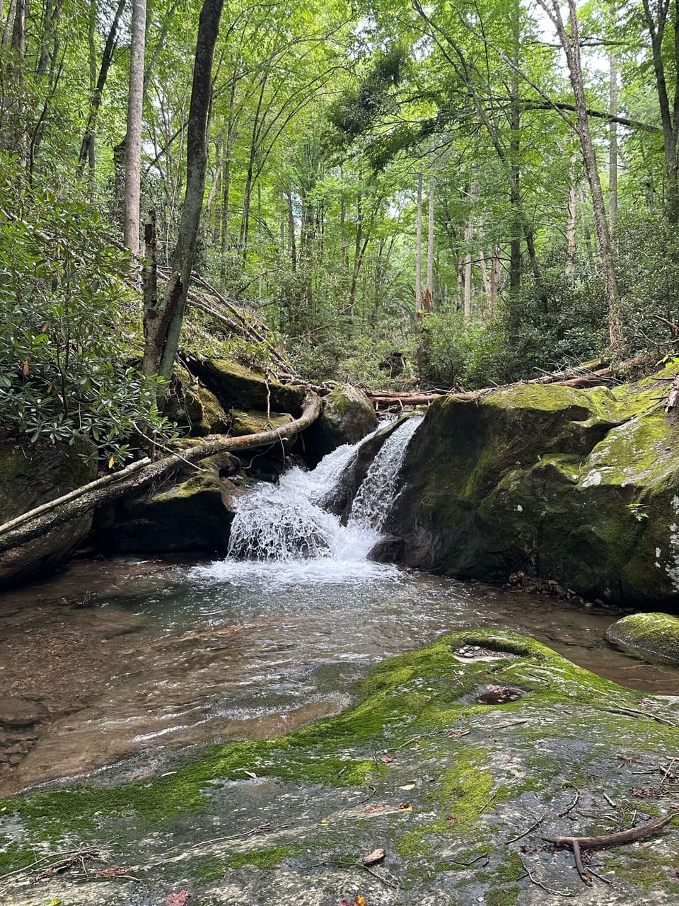  pristine nature, creeks and waterfalls
