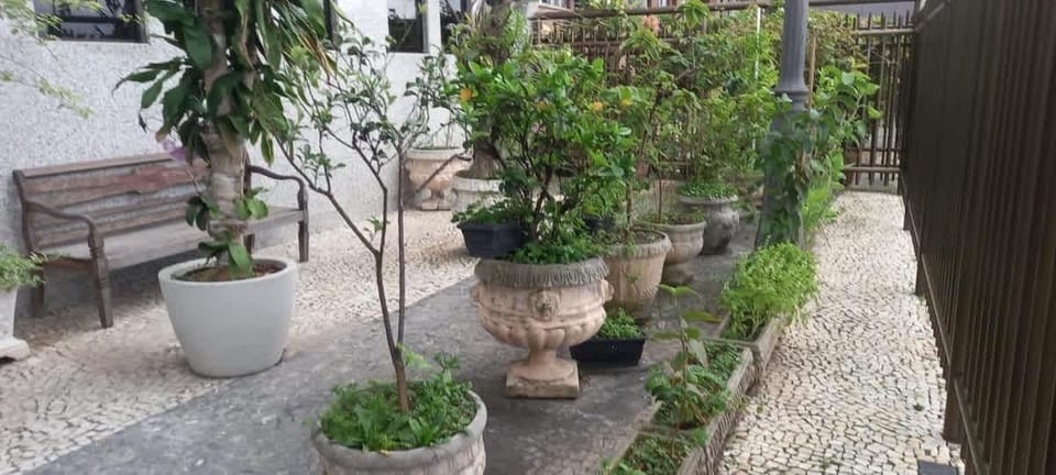 Feel free to use our outside yard