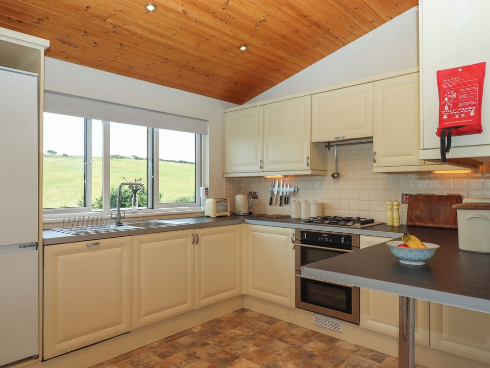Fridge, dishwasher, electric kettle, toaster