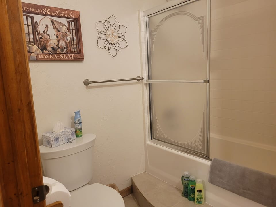 Main bath/shower with washer & dryer
