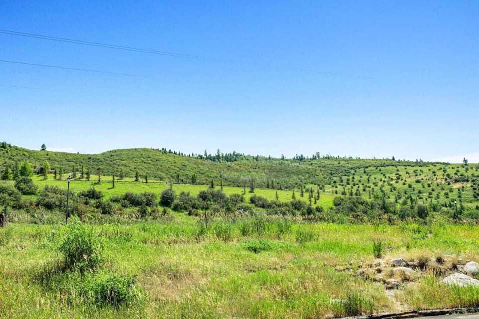 Peaceful landscape