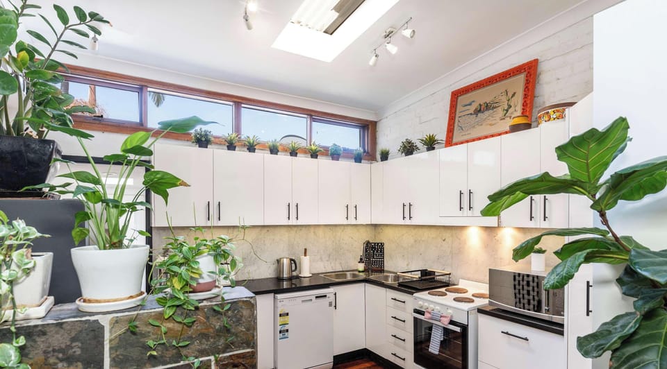 Kitchen with indoor plants 