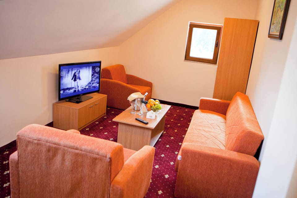 Basic Studio | Living area | Flat-screen TV