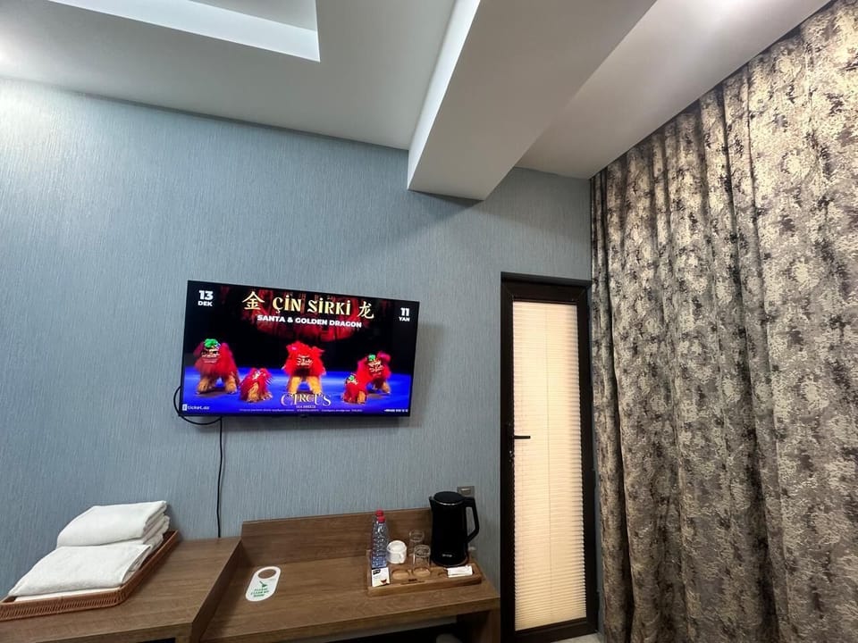 Superior Double Room | Television