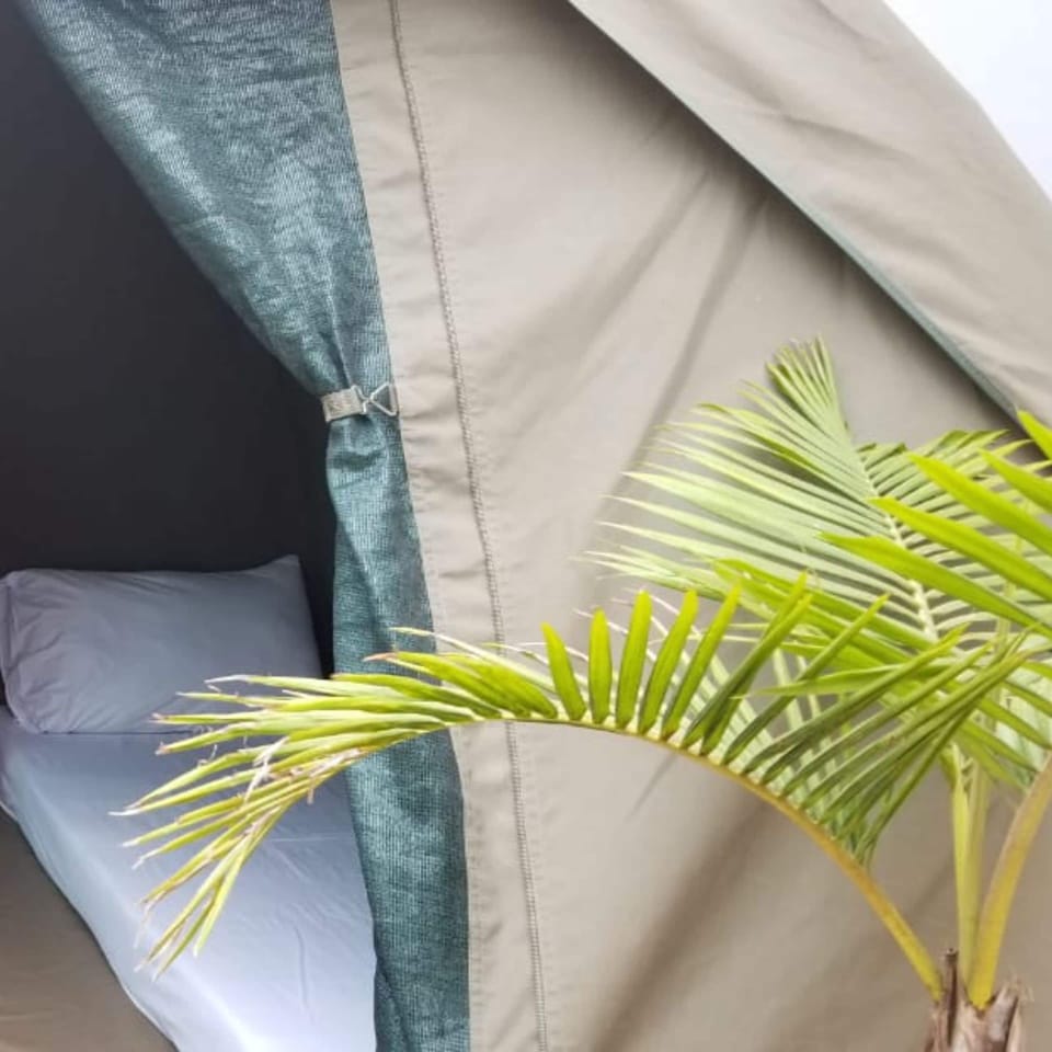 In-room safe, blackout drapes, iron/ironing board
