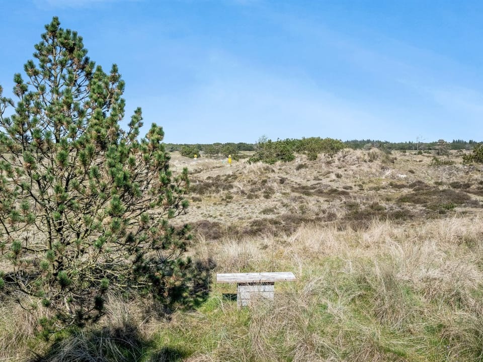 Place