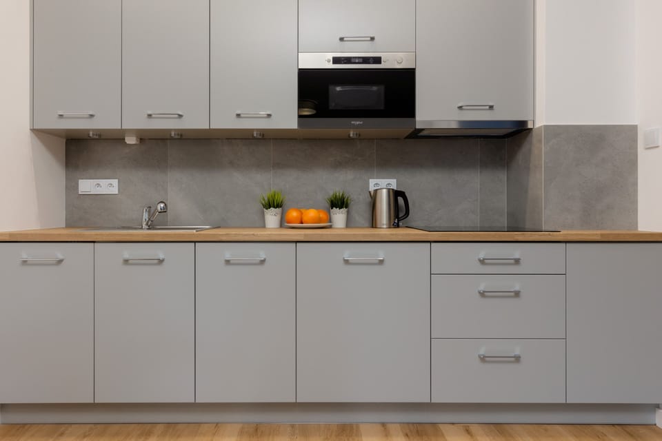 Fully equipped kitchenette with a fridge, microwave, induction hob, dishwasher and kettle.