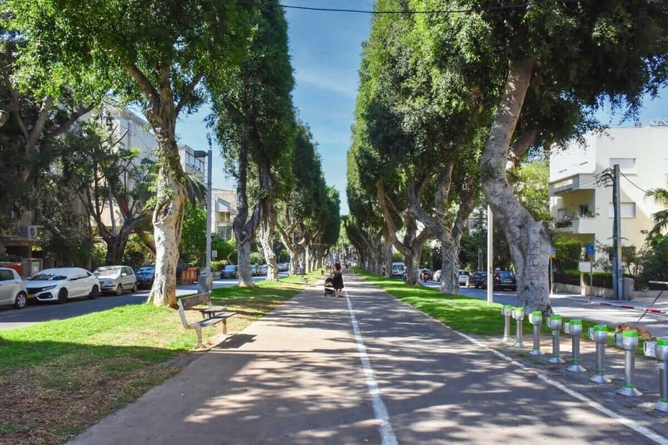 neighborhood
