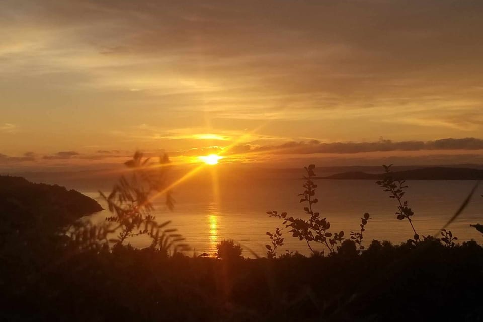 Sunrise from yard