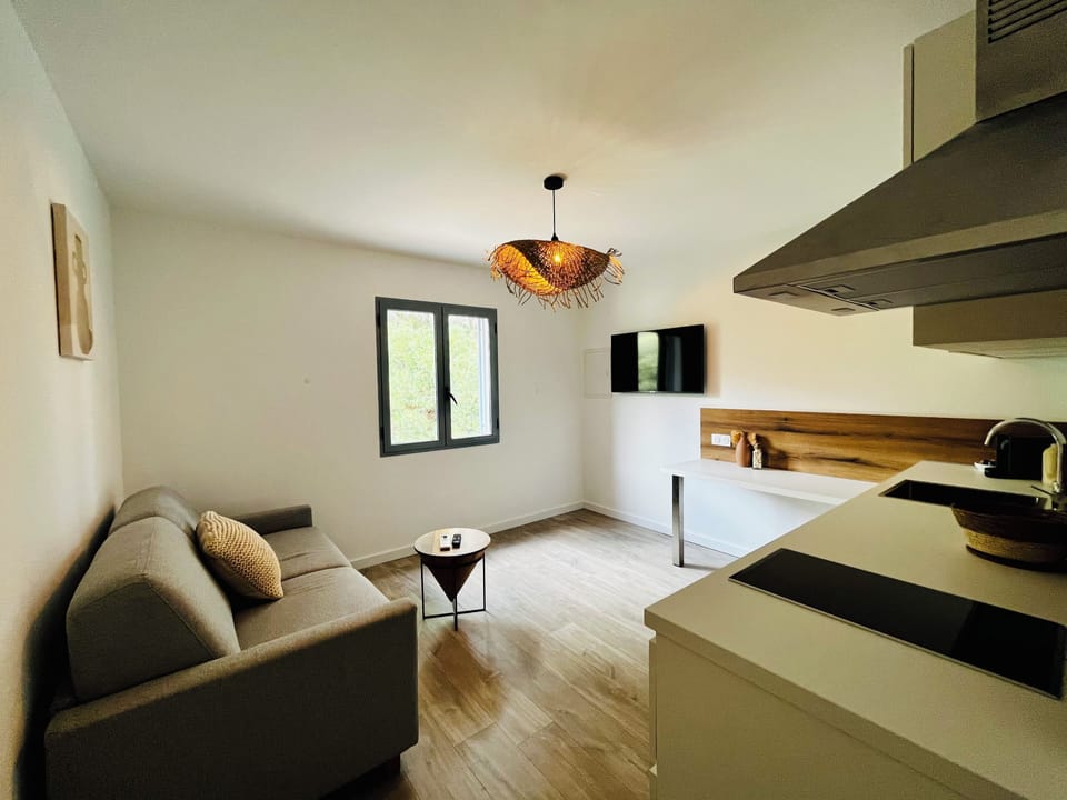 Classic Studio | Living area | Flat-screen TV