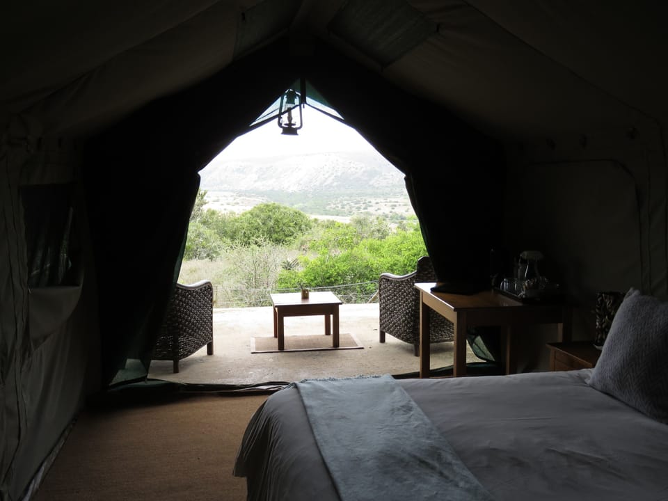King/Twin (1) | In-room safe, bed sheets