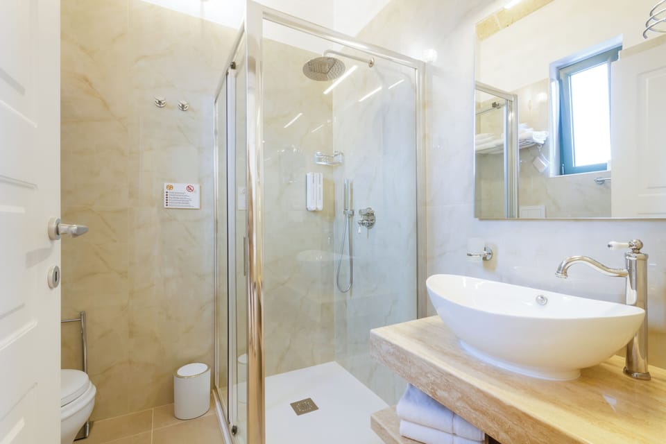 Deluxe Double Room | Bathroom | Shower, rainfall showerhead, free toiletries, hair dryer