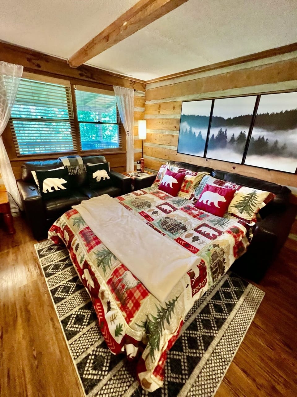 Queen size pullout in living room