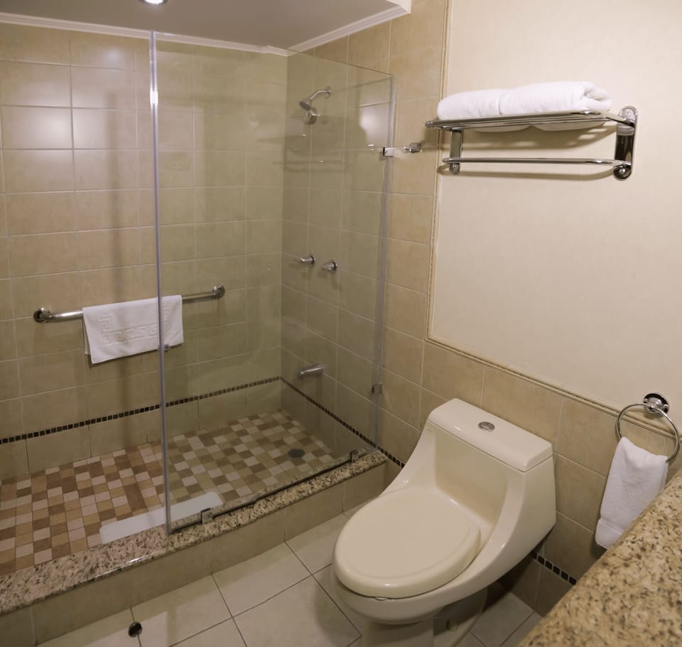 Free toiletries, hair dryer, towels, soap