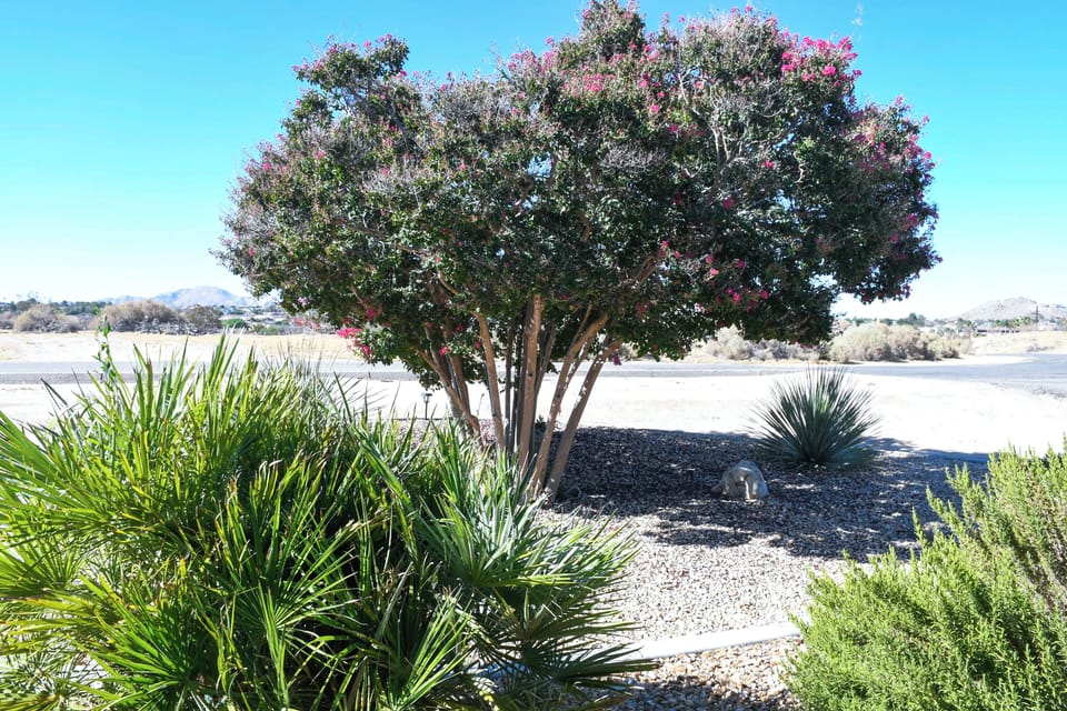 The beauty in desert landscape.