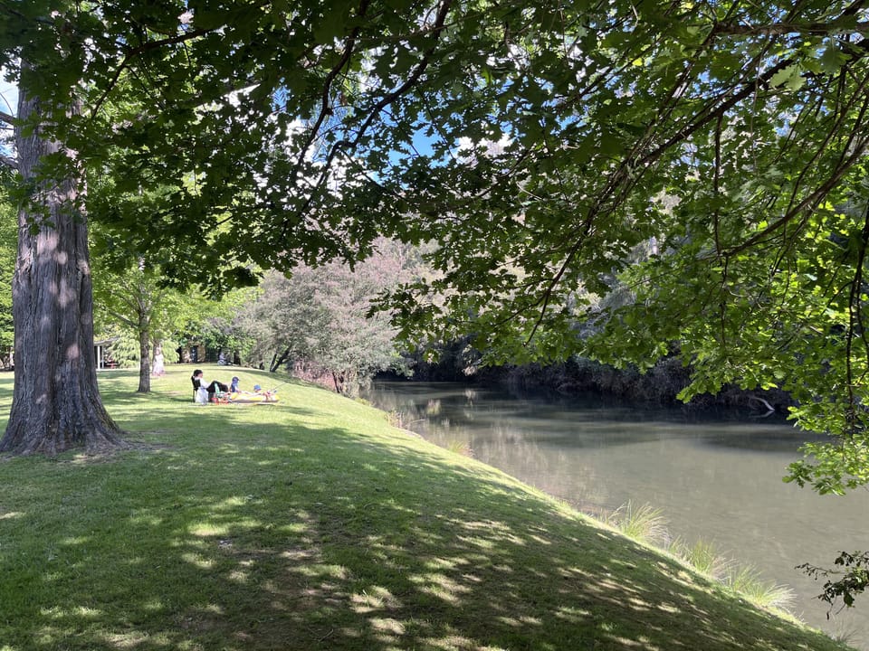 On the banks near the Jamieson Playground area where you can float by