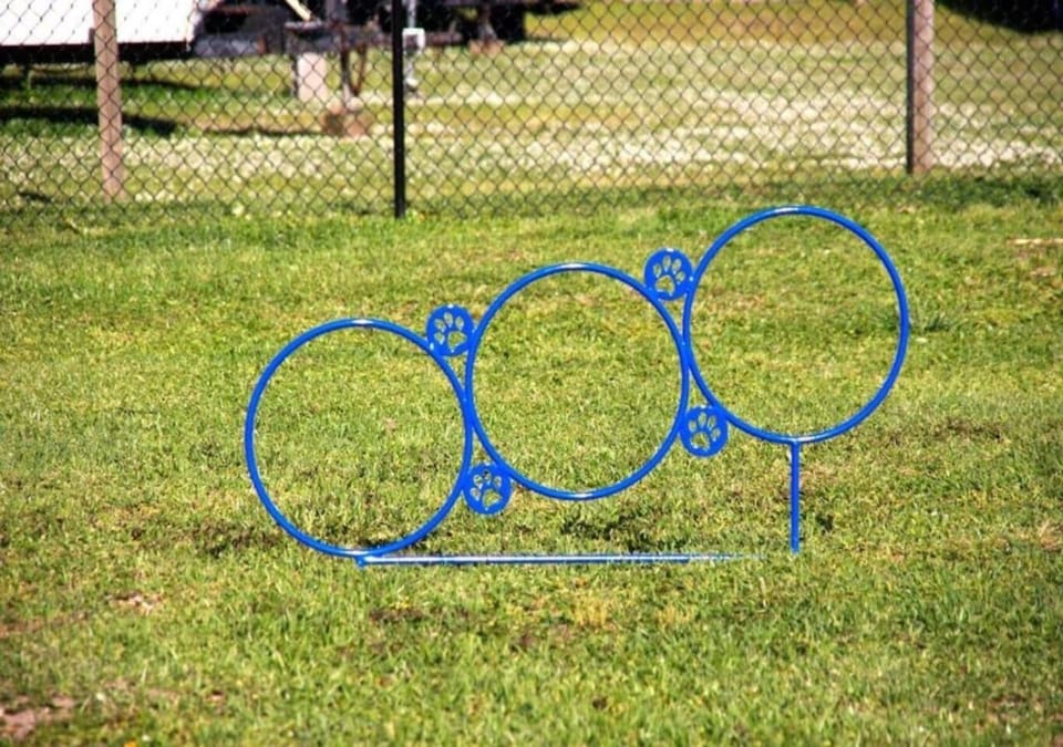 Dog Park