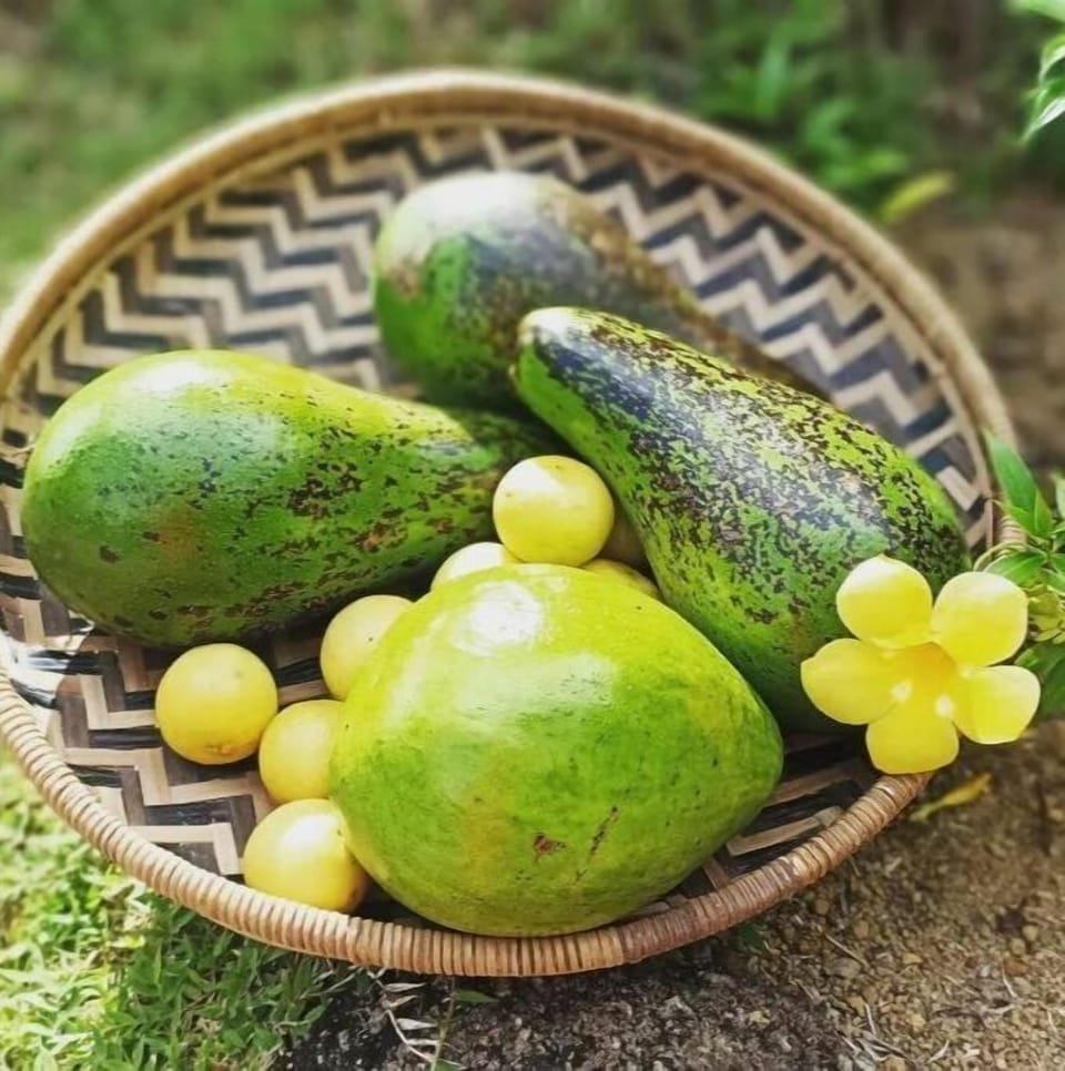 Fruits from the garden.