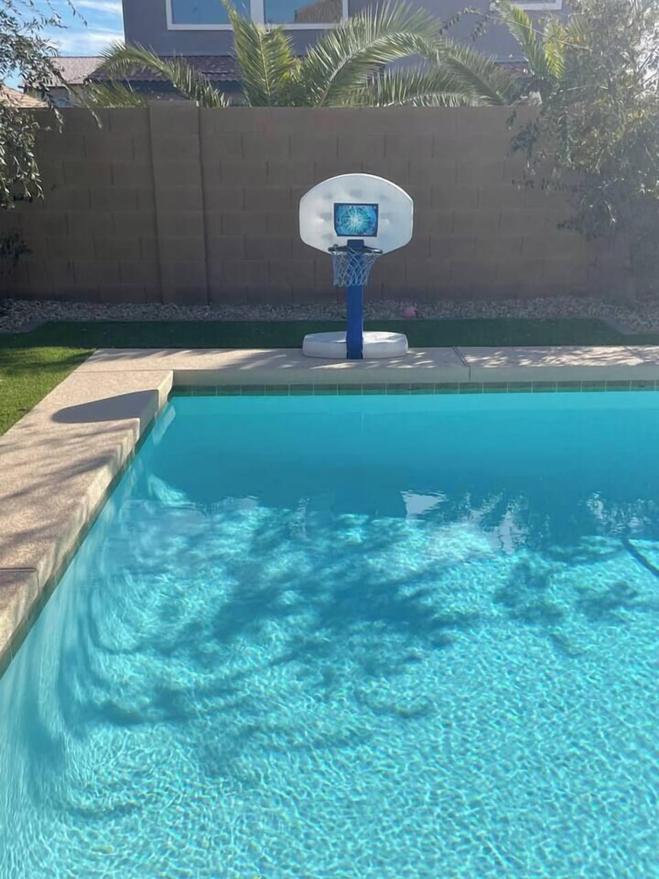 Pool basket ball hoop. 