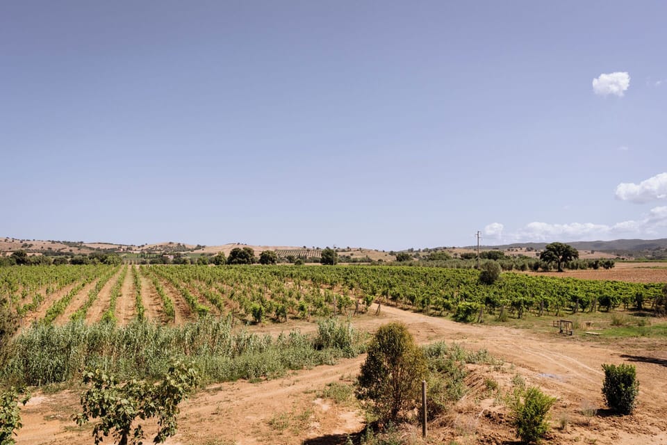 Land view from property