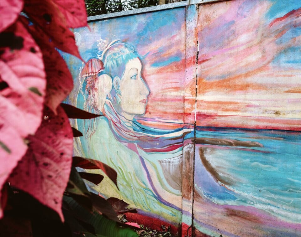 Garden mural