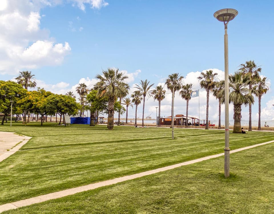 area