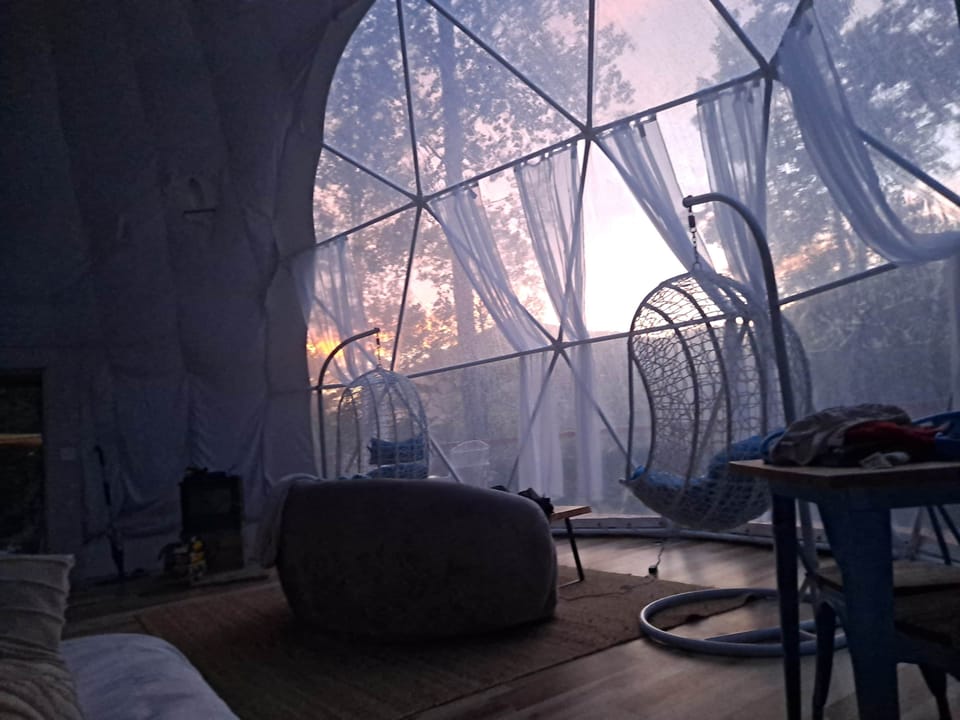 Peaceful morning light fills the Treetops Dome — relax in hanging chairs and watch the forest come a