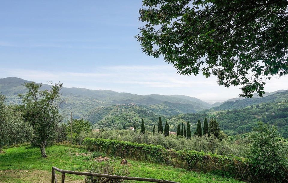 view-from-room