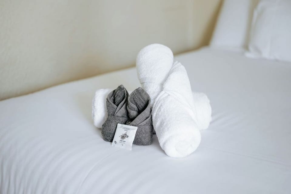 Iron/ironing board, free WiFi, bed sheets