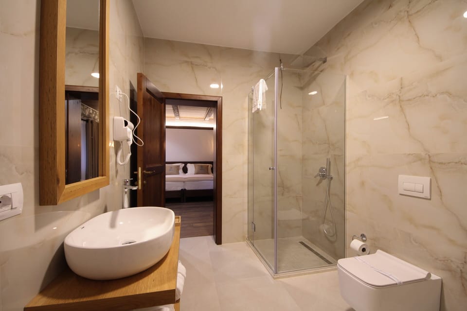 Deluxe Double or Twin Room | Bathroom | Rainfall showerhead, free toiletries, hair dryer, bathrobes